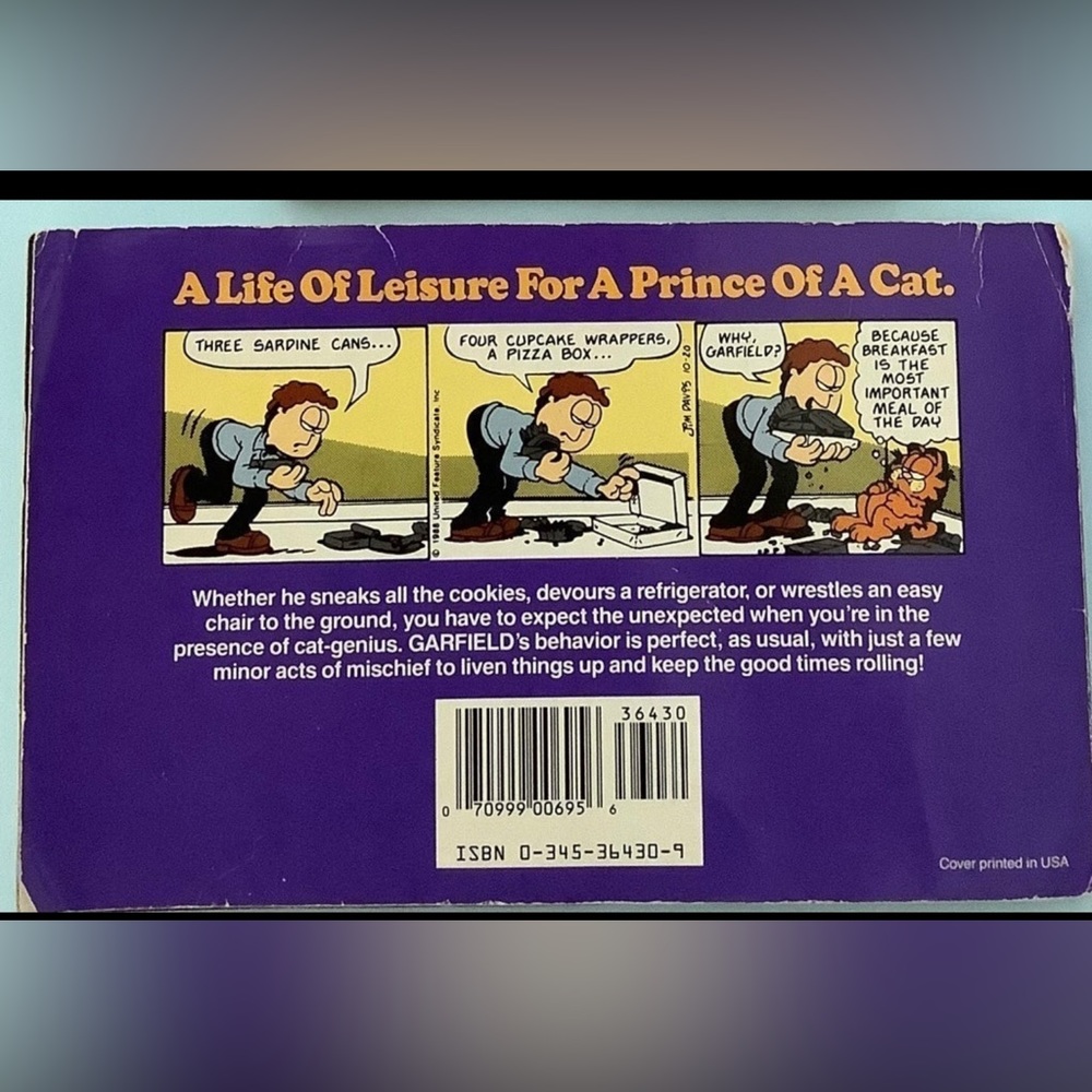 Garfield book - Picture 4 of 4